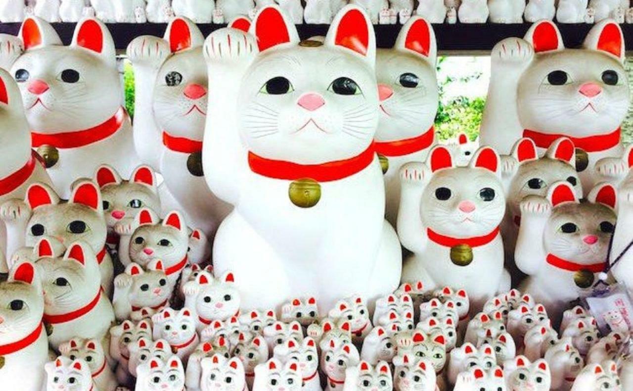 도쿄 経堂のちいさなお部屋 아파트 외부 사진